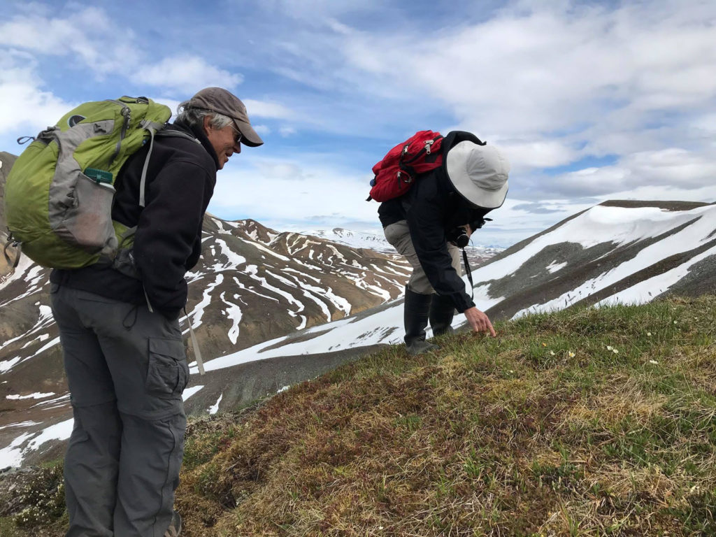 botanizing during Canwell Glacier field trip